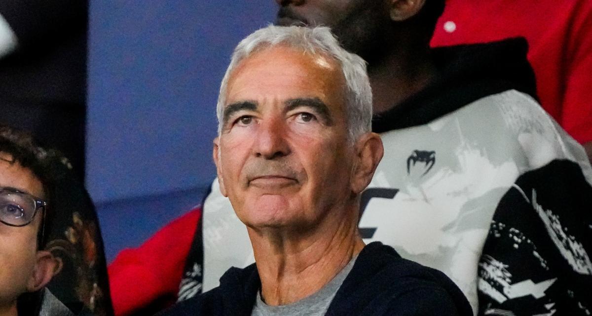 Raymond Domenech