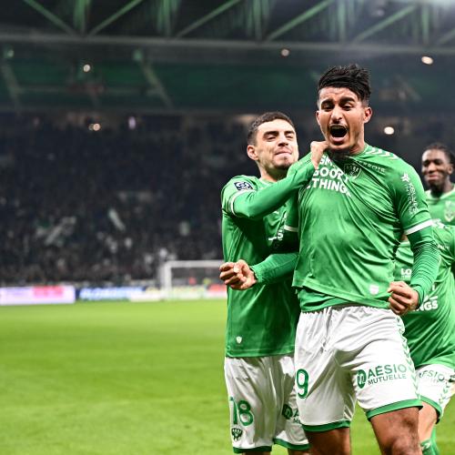 ASSE : les 5 chantiers des Verts pour 2024