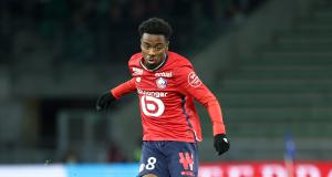 LOSC Mercato : une demi-douzaine de cadors veulent un Dogue en janvier