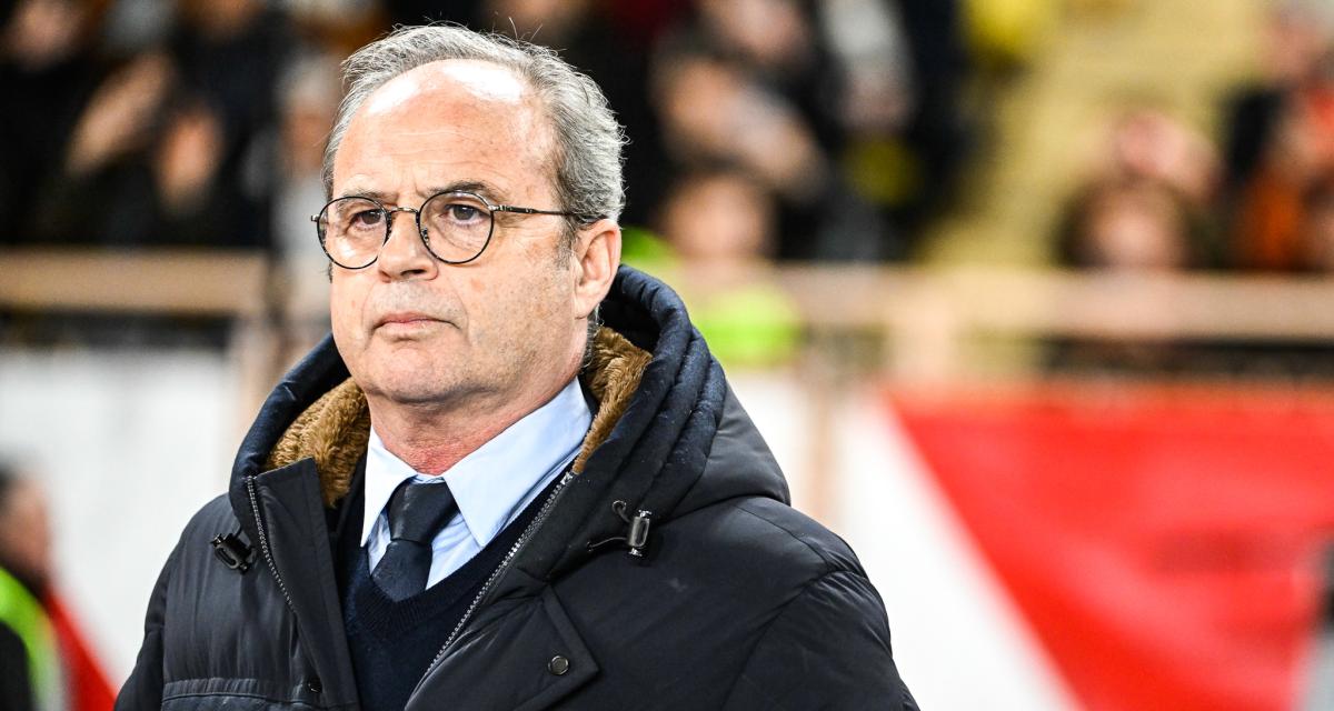 Luis Campos, conseiller sportif du PSG